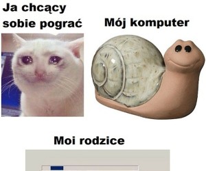 Nie dzisiaj