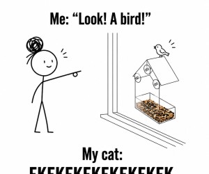 Niektóre koty kekają