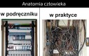 Panie, kto panu to tak spier...