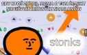 Kot Bożydara lubi to
