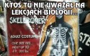 Ktoś nie uważał na biologii...