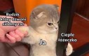 Nie chcem
