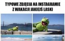 Wyjątkowe zdjęcia z wakacji