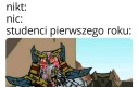 Pojemne są