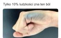 Lewusy, łączcie się