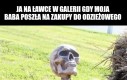 To koniec widzowie