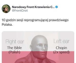 Kuracja