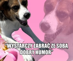Nie stać mnie