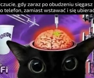 Kurde faja, trzeba przestać