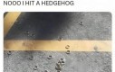 Biedny Sonic :(