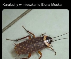 Się powodzi