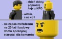 To nawet nie jest przesada, tak właśnie było