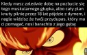 Co. To. Jest?
