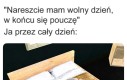 Postęp w nauce wyniósł dokładnie 0%