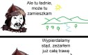 Mongołowie są jak