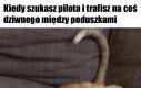 W dodatku to coś się rusza