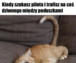 W dodatku to coś się rusza