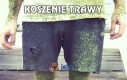 Koszenie trawy