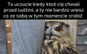 A do tego jaki skromny