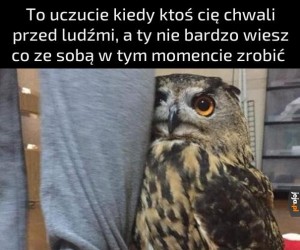 A do tego jaki skromny