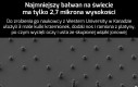 Ciekawostka o najmniejszym bałwanie