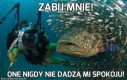 Zabij mnie!