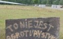 Komuś chyba kwiatki podeptali