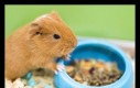 Dzień dobry jejaki! Dzisiaj mamy: Dzień Kawii Domowej