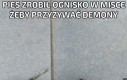 Pomocy 