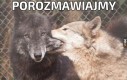 Porozmawiajmy