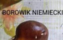 Kapelusz czy hełm?