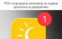 Innej nie stwierdzono