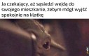 Z życia introwertyka