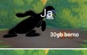 Teraz nikt nie znajdzie