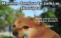 *rzyg*