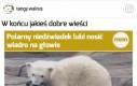 Wiara w świat przywrócona