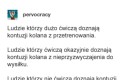 Nie polecam kolan