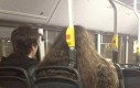 Harry i Hagrid w autobusie