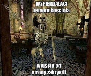 Mamy w tym roku dwie jesienie, więc straszdzierniki też powinny być dwa