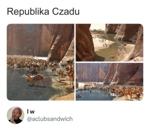 Wina kreskówek