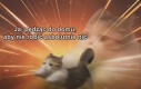 To moja wielka pasja
