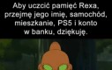 TOP 10 dziwnych scen, miejsca od 1 do 10: