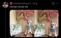 Musiała być naprawdę dobra impreza