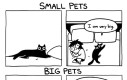Duże i małe zwierzęta