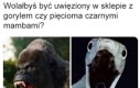 Kluczowa kwestia