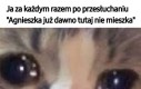 Ten koniec...