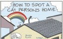 Jak rozpoznać dom, w którym jest kot