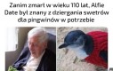 Pingwiniarz level 9000