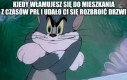 Takiej alternatywy to się nie spodziewałem