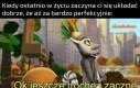 Co może pójść nie tak?